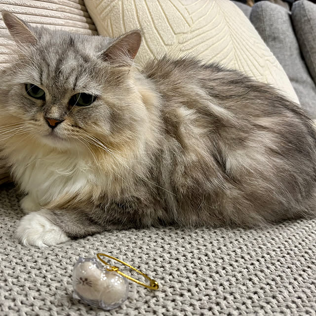 akimamさんの部屋