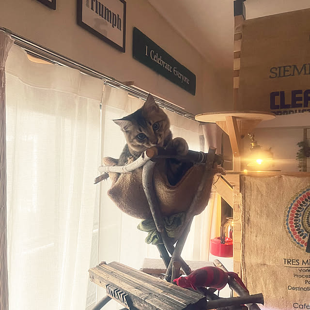 Mさんの部屋
