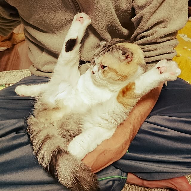Sachiさんの実例写真