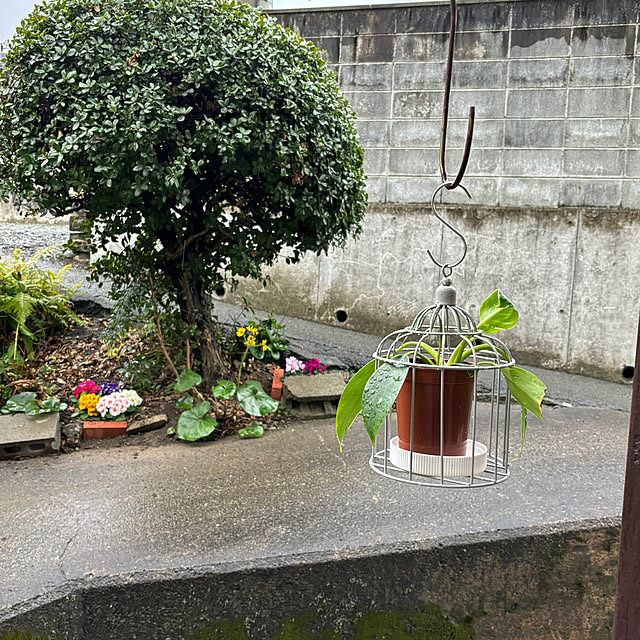 SIELUさんの実例写真