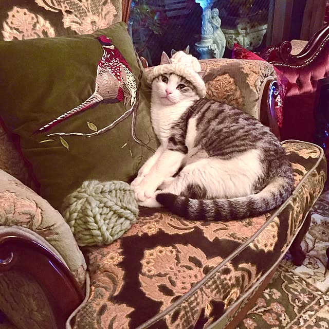 emmyyさんの実例写真