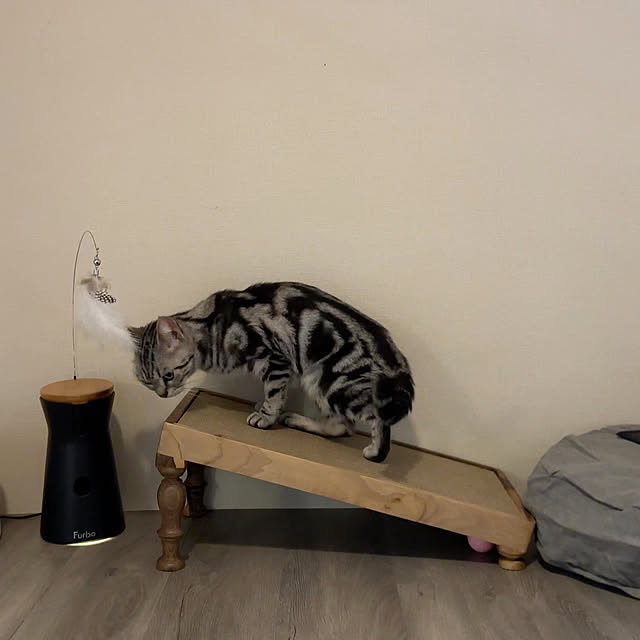 Yuki_with_a_tailさんの部屋