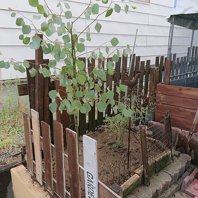 tikuwaさんの部屋