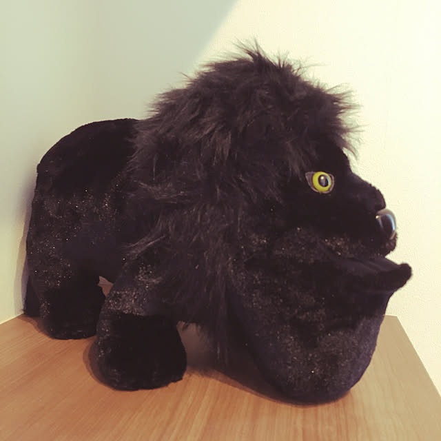 seiさんの実例写真