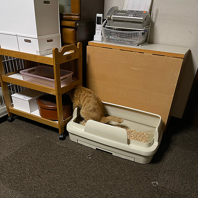 kikiさんの実例写真