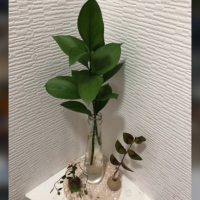 IKUさんの実例写真