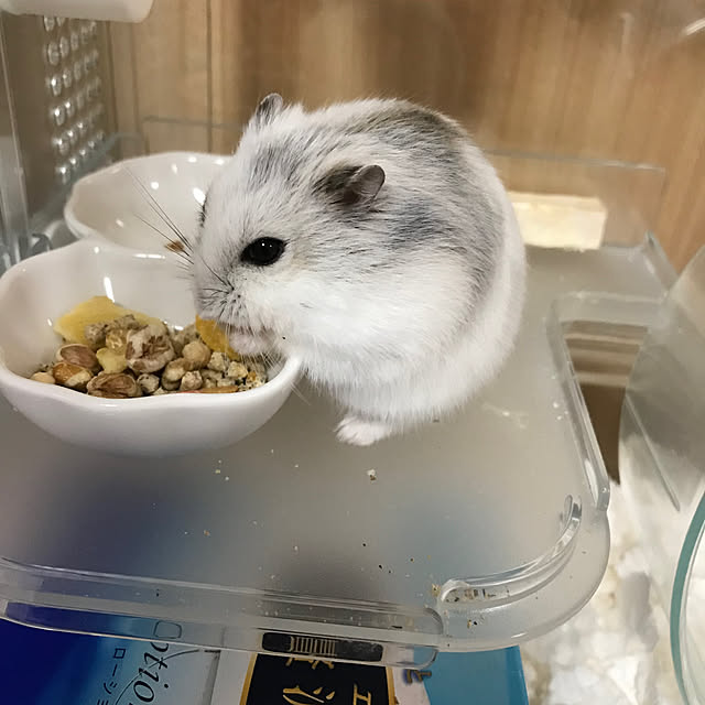 senamamaさんの部屋