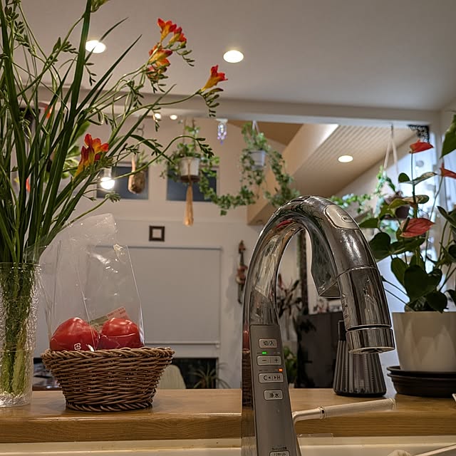 macyuさんの実例写真