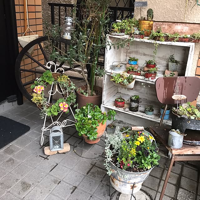 rorochimanさんの実例写真