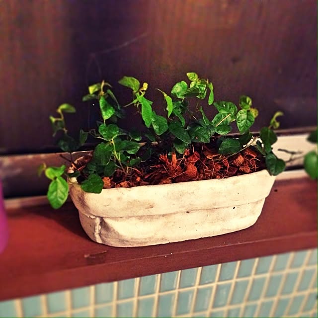 growさんの実例写真