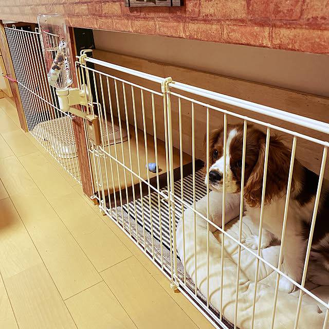 Hjknさんの実例写真