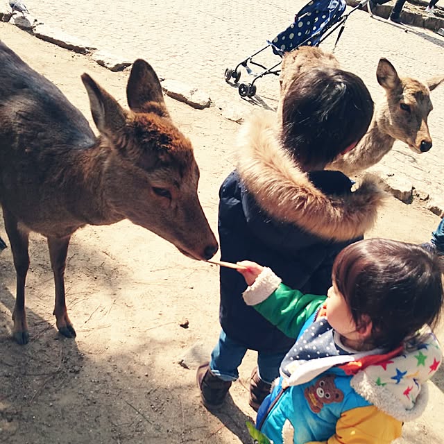 momokasanさんの実例写真