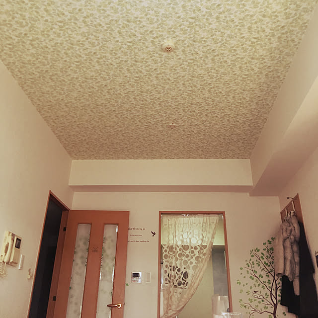 北欧/壁/天井のインテリア実例 - 2019-03-26 15:09:54