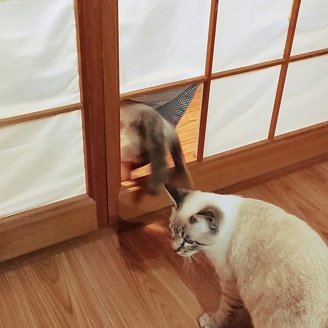 isikoro.DIYさんの実例写真