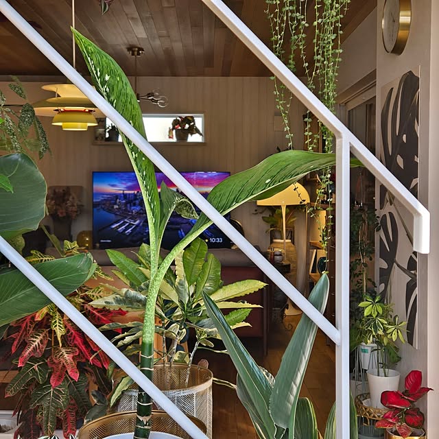 nonbiri_house_さんの実例写真
