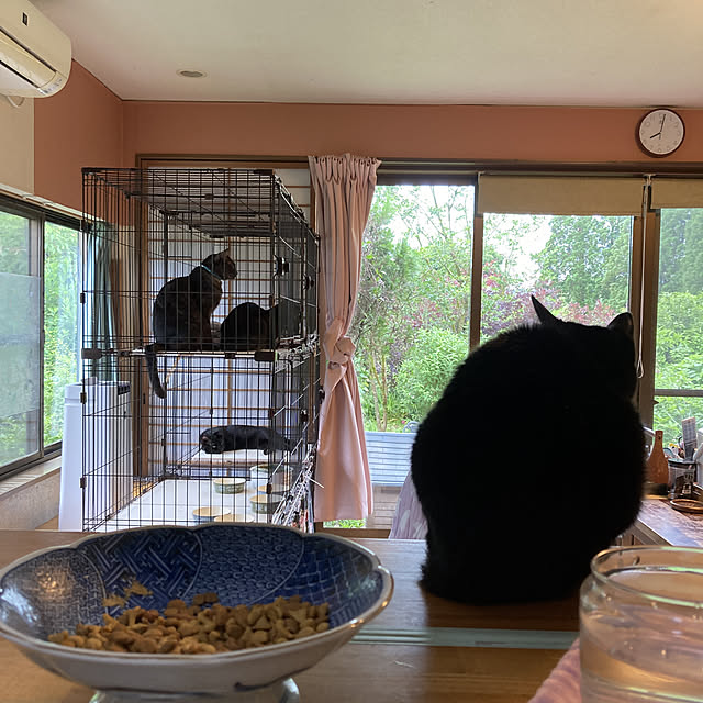 miseiさんの実例写真