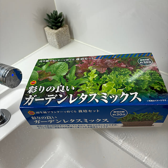 syutmmさんの部屋