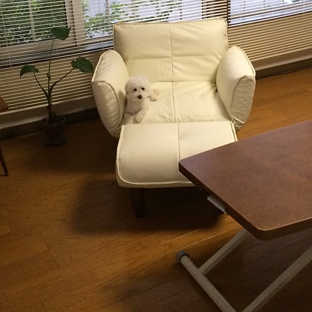 mocoyuki113さんの実例写真