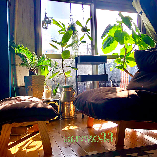 tarezo33さんの実例写真