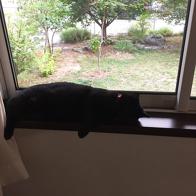 nanaさんの実例写真