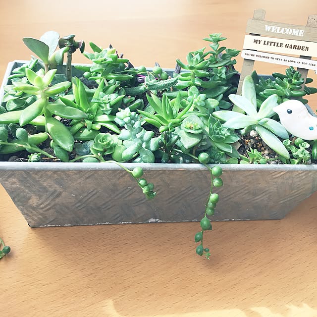 a.kさんの実例写真