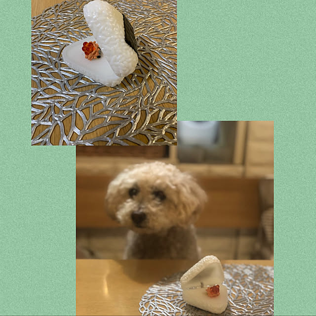 yukarimamaさんの実例写真