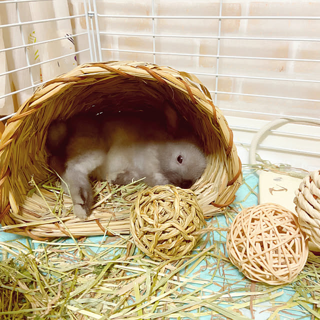 fumofumoさんの実例写真