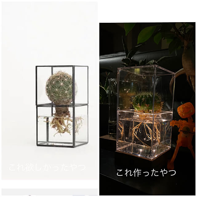 amyさんの実例写真