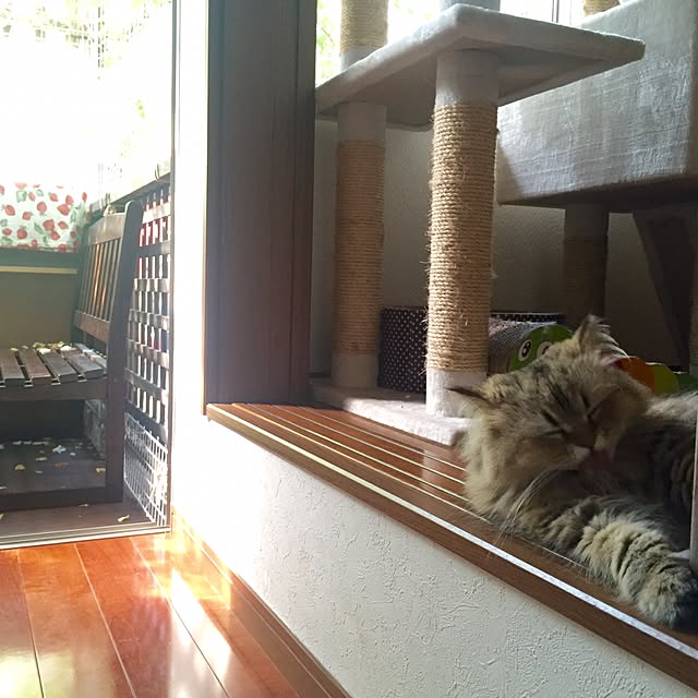 butachanさんの実例写真