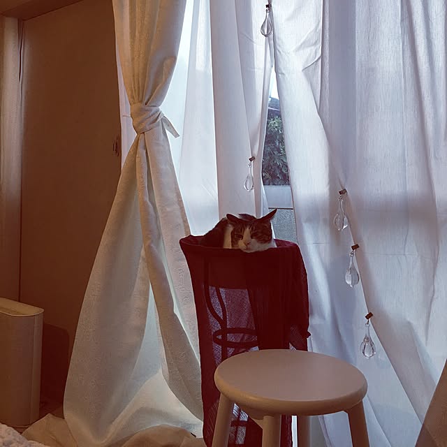 Shihoさんの実例写真