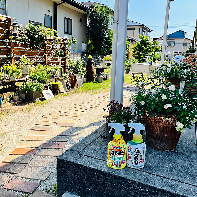 mayumiさんの部屋