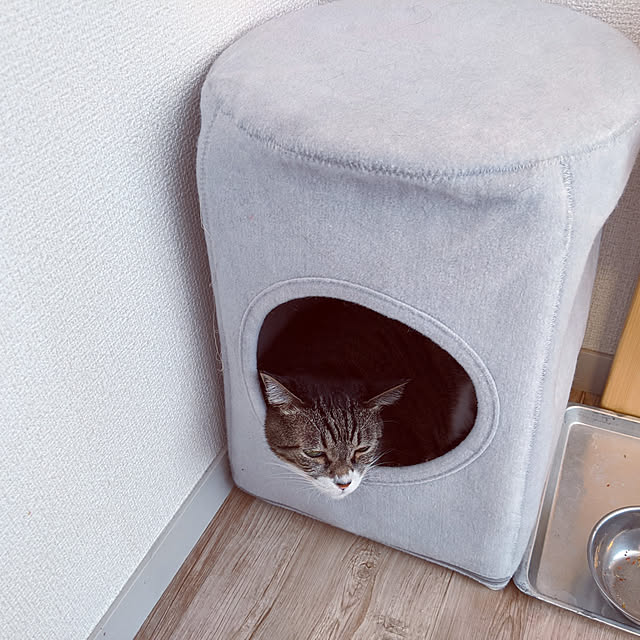 nezumikanさんの実例写真