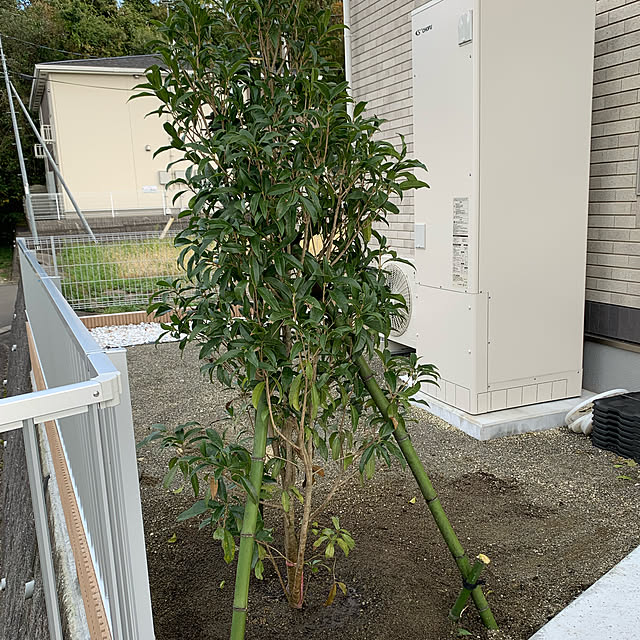 nanaさんの実例写真