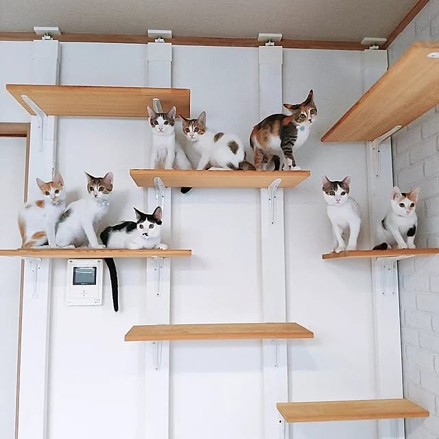 kirakirahikaruさんの実例写真