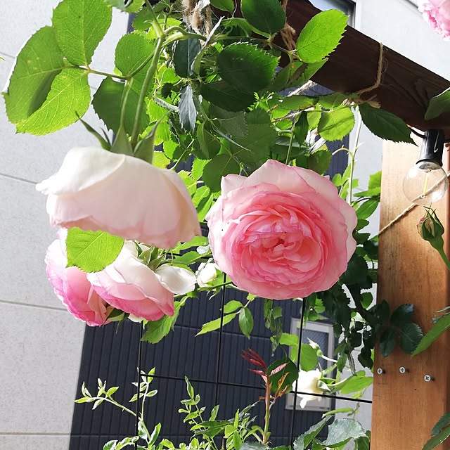 kazuさんの部屋
