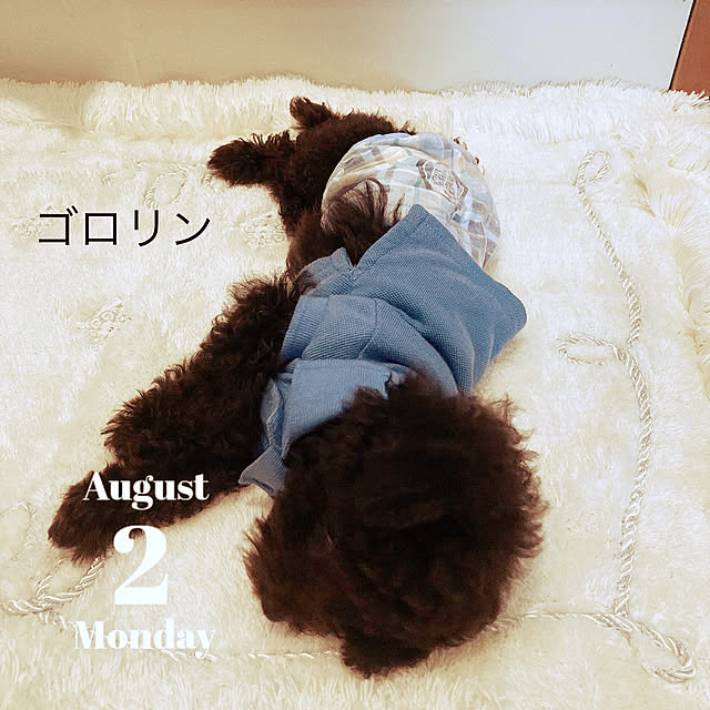 Mayさんの実例写真