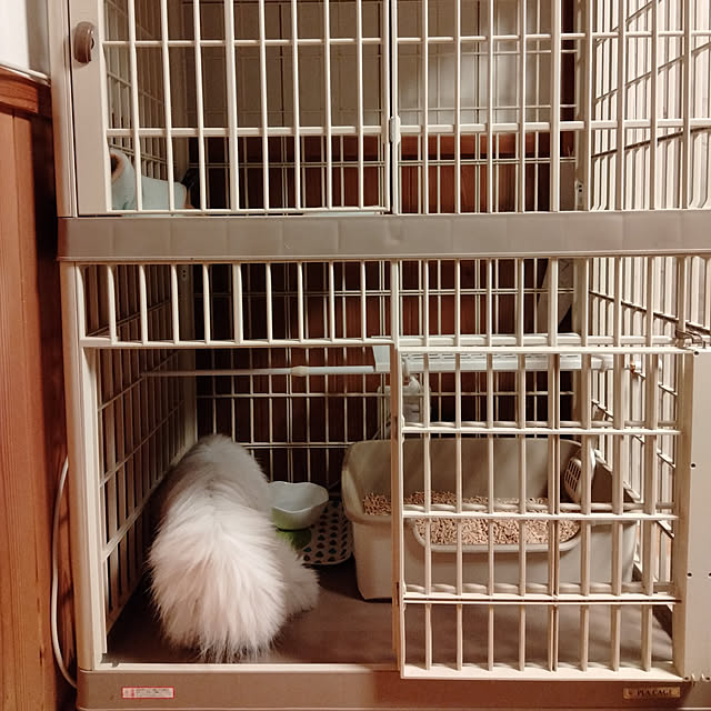 makaronさんの実例写真