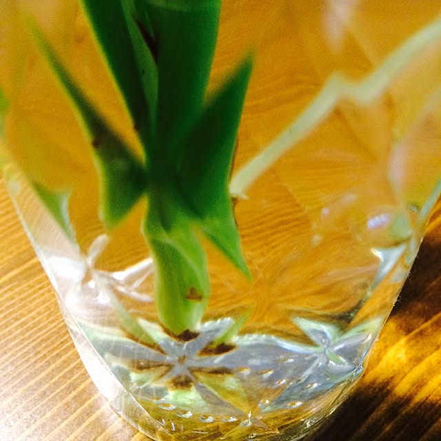 takaさんの実例写真