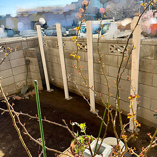 chaimomさんの実例写真