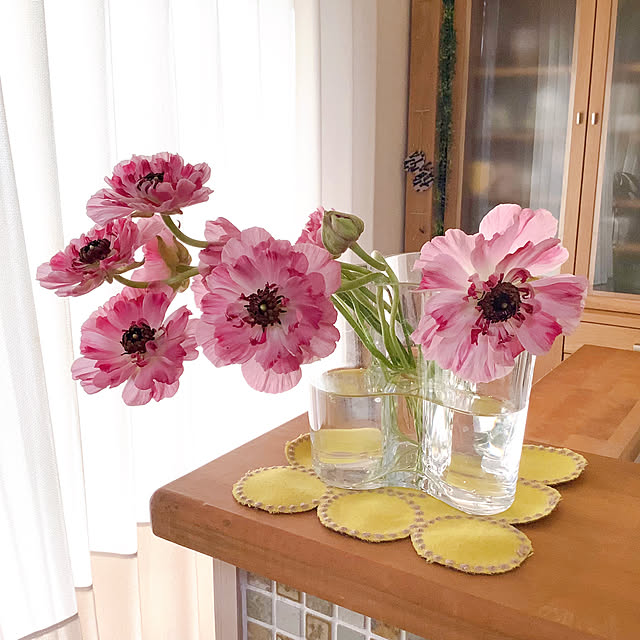 naive.coccoさんの実例写真