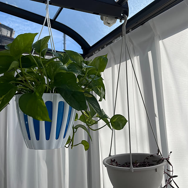 pipiさんの実例写真