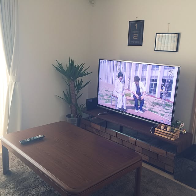 実例写真