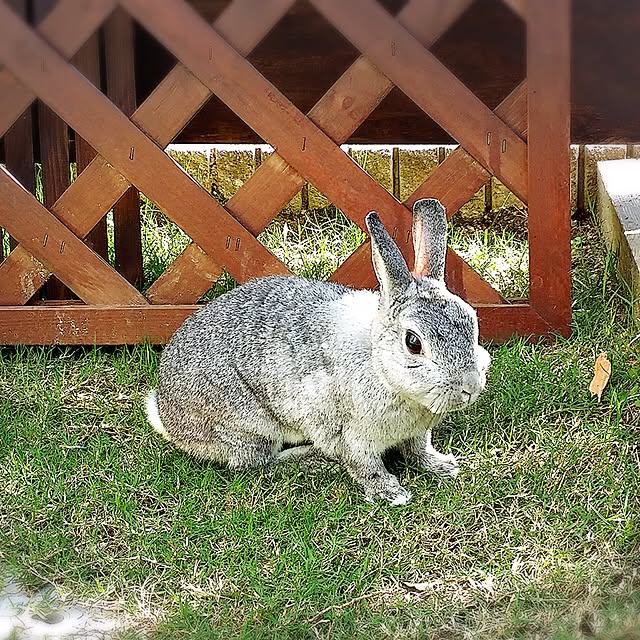 viviさんの実例写真