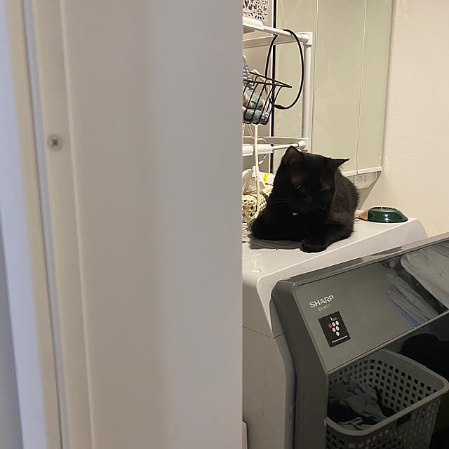 okapiさんの実例写真