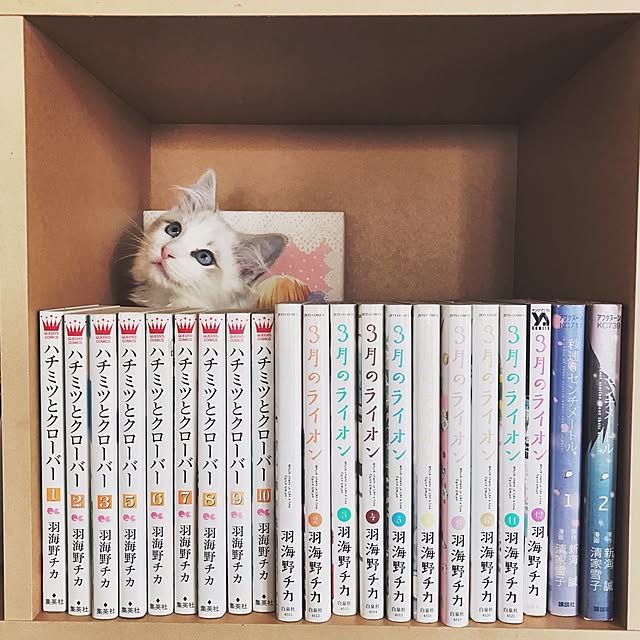 akiraiguchi32さんの実例写真