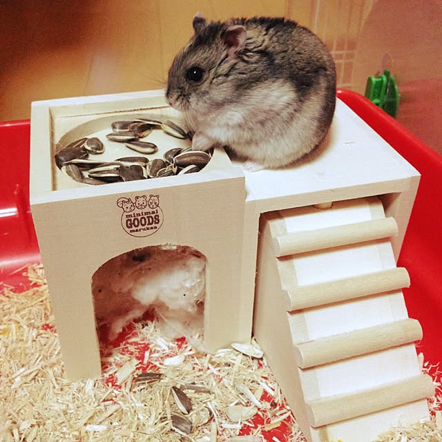 enikkiさんの実例写真
