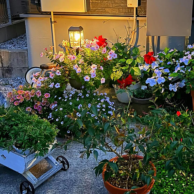 coraruさんの部屋