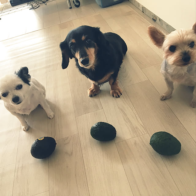 ohanaさんの実例写真