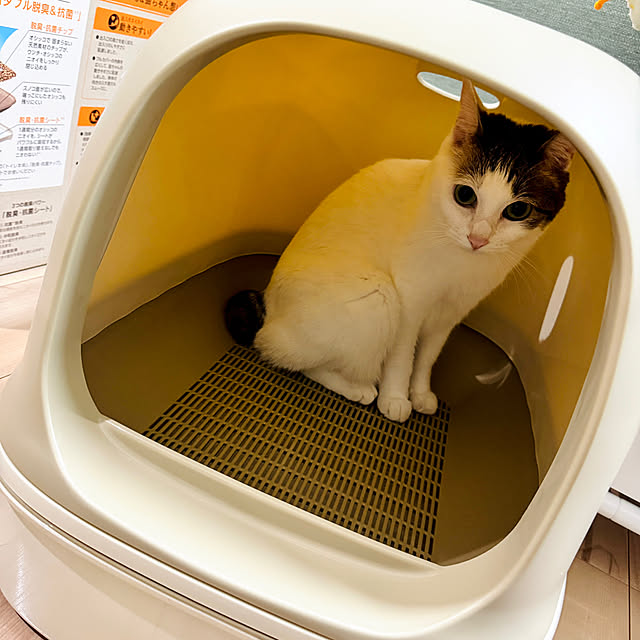 miiさんの部屋