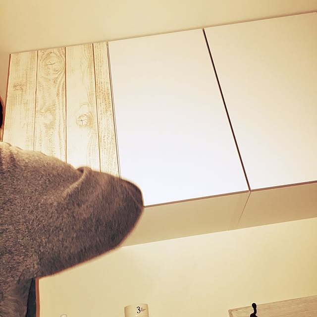 asamiさんの実例写真